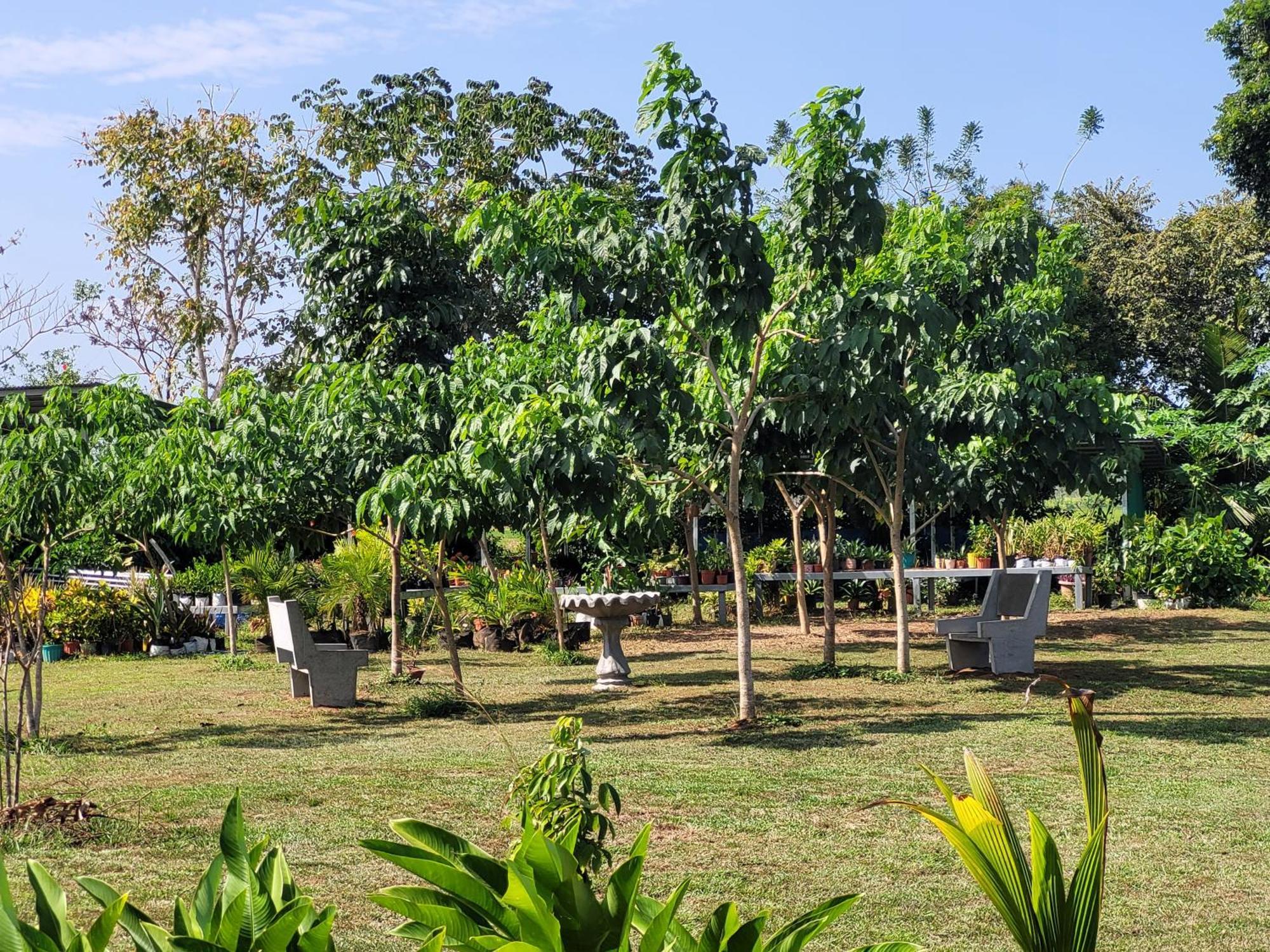 The Inn At Punta Mala Pedasi Town Dış mekan fotoğraf